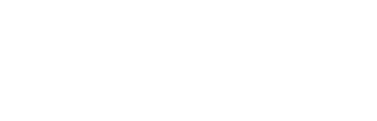 Ignite Region white logo - no symbol